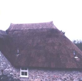 Devon Thatching Services