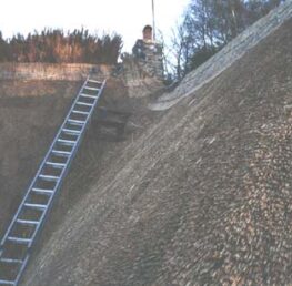 Thatching Devon
