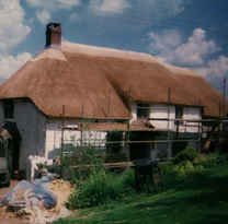 Thatchers Devon