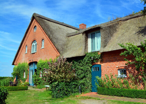 thatching-services_devon Thatching Services Devon